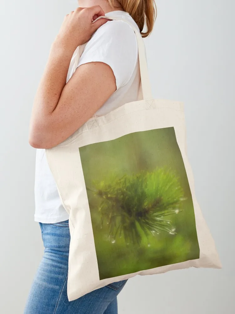 Pine tree branch with drops of dew Tote Bag Women's handbag tote bag university Women's beach bags
Pine tree branch with drops of dew Tote Bag Women's handbag tote bag university Women's beach bags