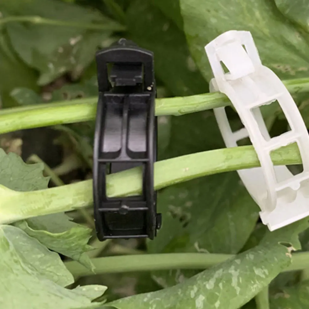 50 Pcs Plant Clips Tomato Vine Garden Vegetable Support Clamps Black Durable PP Stem Holder Gardening Accessories Flower Orchid
50 Pcs Plant Clips Tomato Vine Garden Vegetable Support Clamps Black Durable PP Stem Holder Gardening Accessories Flower Orchid
