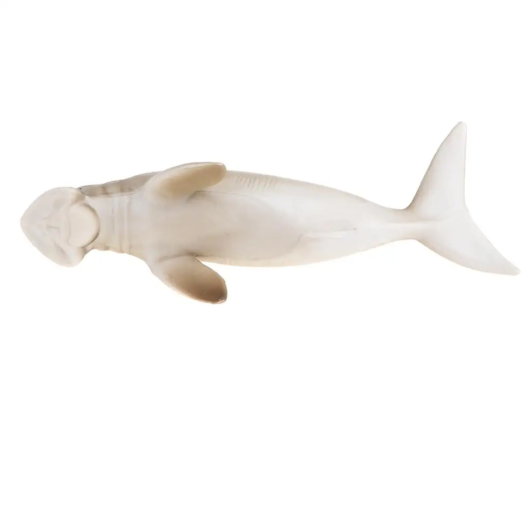 Manatee Dugong Desktop Figurine Ocean Creature Model Toy Plastic Collectible for Kids Educational Story Prop
Manatee Dugong Desktop Figurine Ocean Creature Model Toy Plastic Collectible for Kids Educational Story Prop