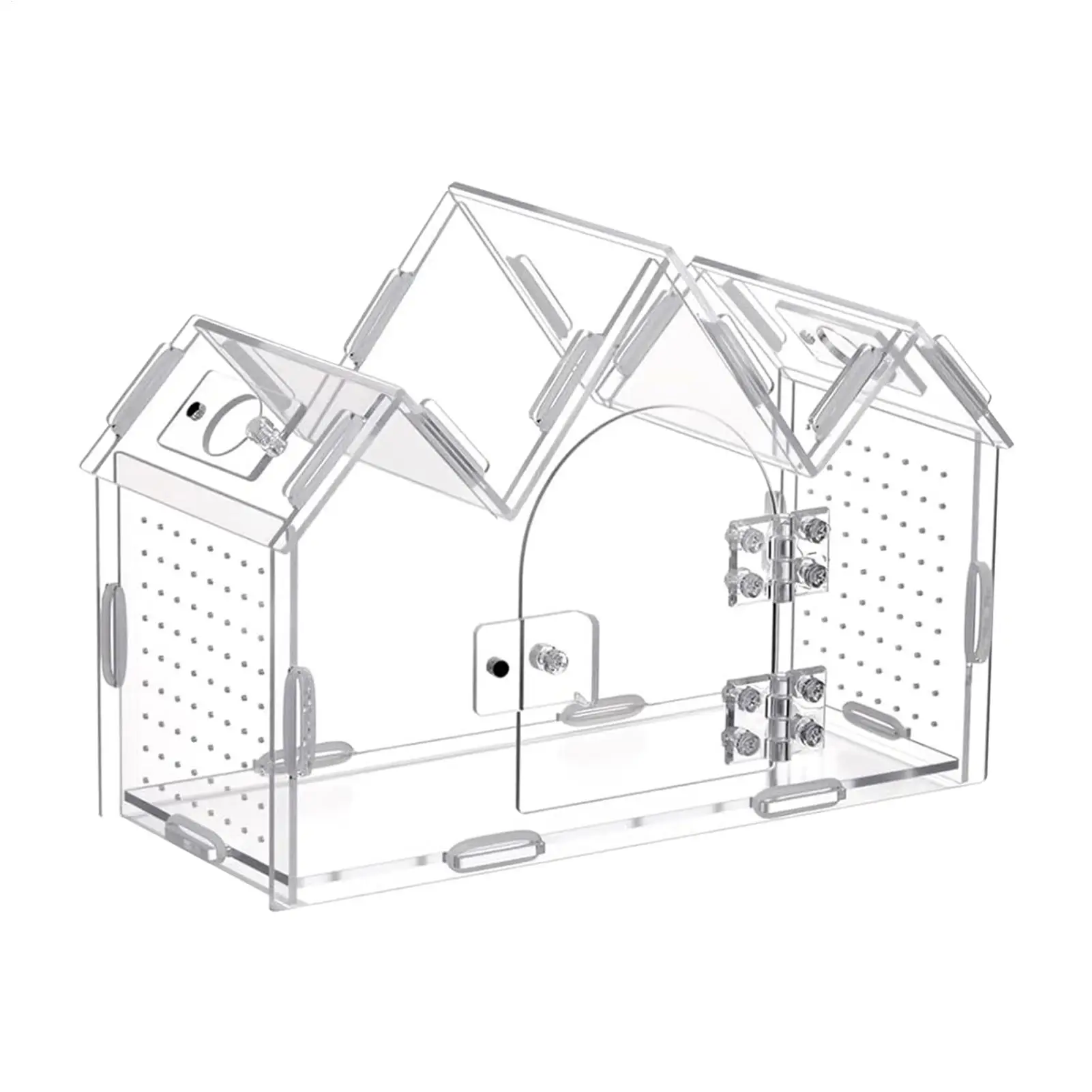 Jumping Spider Enclosure Kit With Magnetic Doors Clear Acrylic Tarantula House Acrylic Jumping Spider Enclosure For Gecko Lizard
Jumping Spider Enclosure Kit With Magnetic Doors Clear Acrylic Tarantula House Acrylic Jumping Spider Enclosure For Gecko Lizard