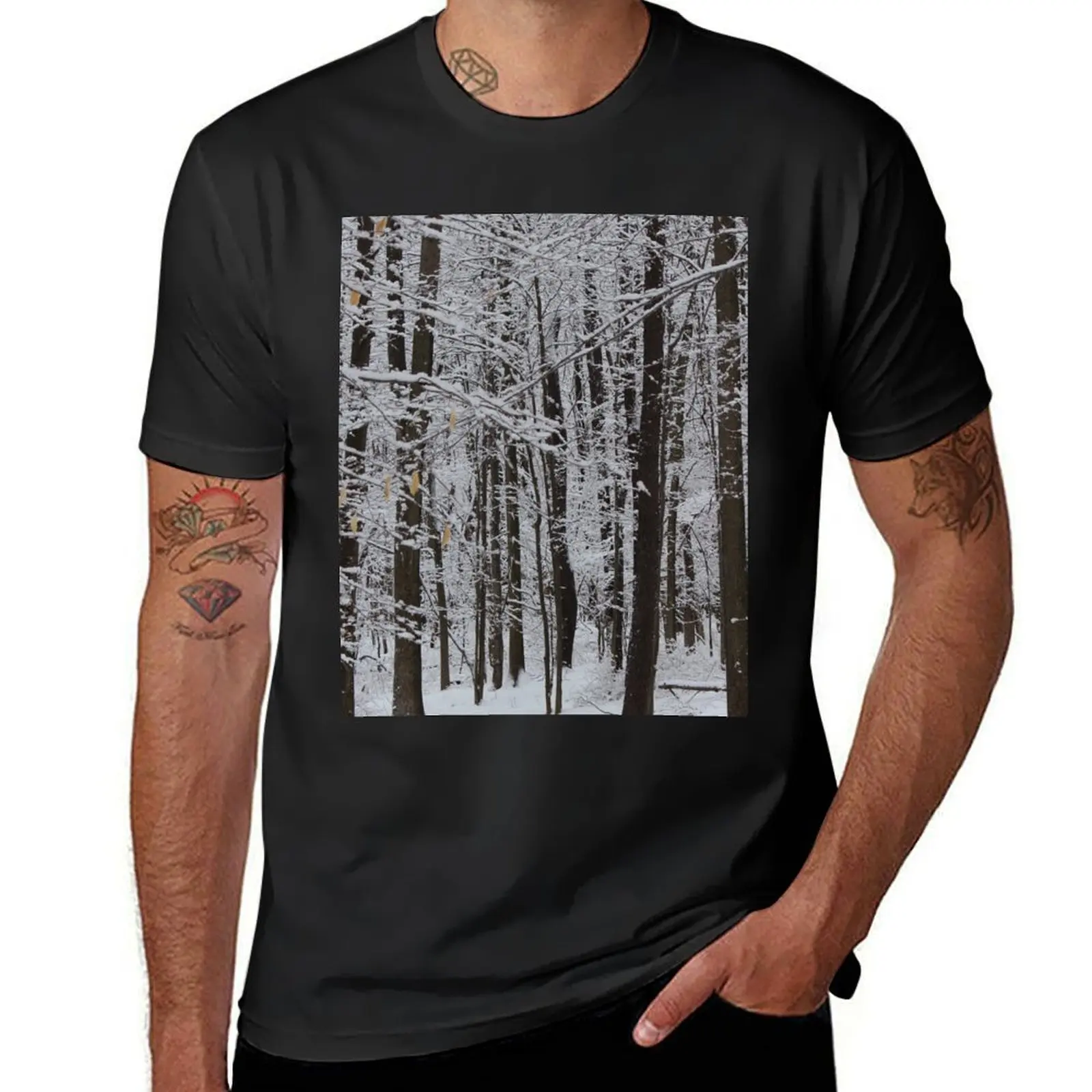 Winter Trees, Knox State Park, February 2013 T-Shirt tees blanks kawaii clothes oversized mens t shirt graphic
Winter Trees, Knox State Park, February 2013 T-Shirt tees blanks kawaii clothes oversized mens t shirt graphic