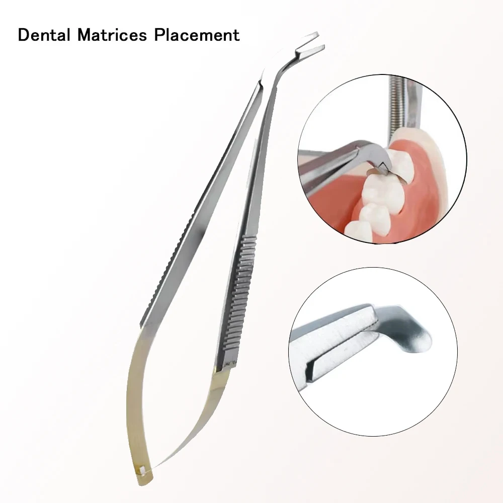 Dental Matrices Placement Tool - Easy Clamp Stainless Steel Matrix Holder for Dental Procedures - Durable Dental Instrument
Dental Matrices Placement Tool - Easy Clamp Stainless Steel Matrix Holder for Dental Procedures - Durable Dental Instrument