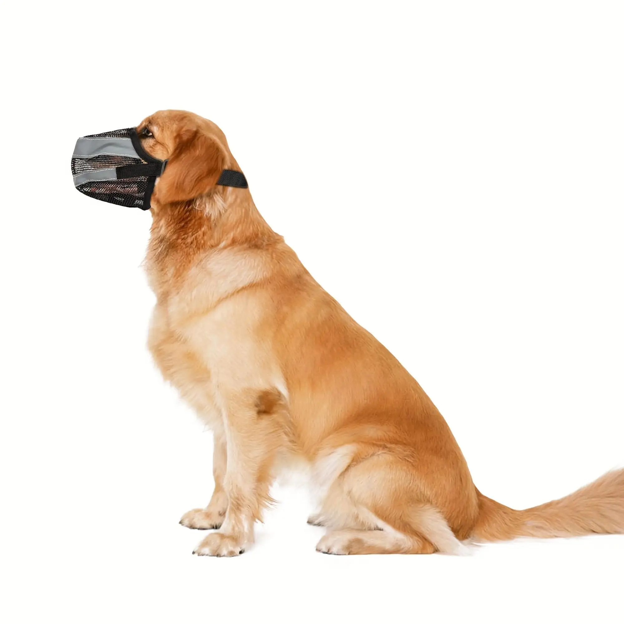 Dog reflective strip mouth cover can be adjusted to prevent biting, barking, and accidental ingestion. Dog mask, pet supplies
Dog reflective strip mouth cover can be adjusted to prevent biting, barking, and accidental ingestion. Dog mask, pet supplies