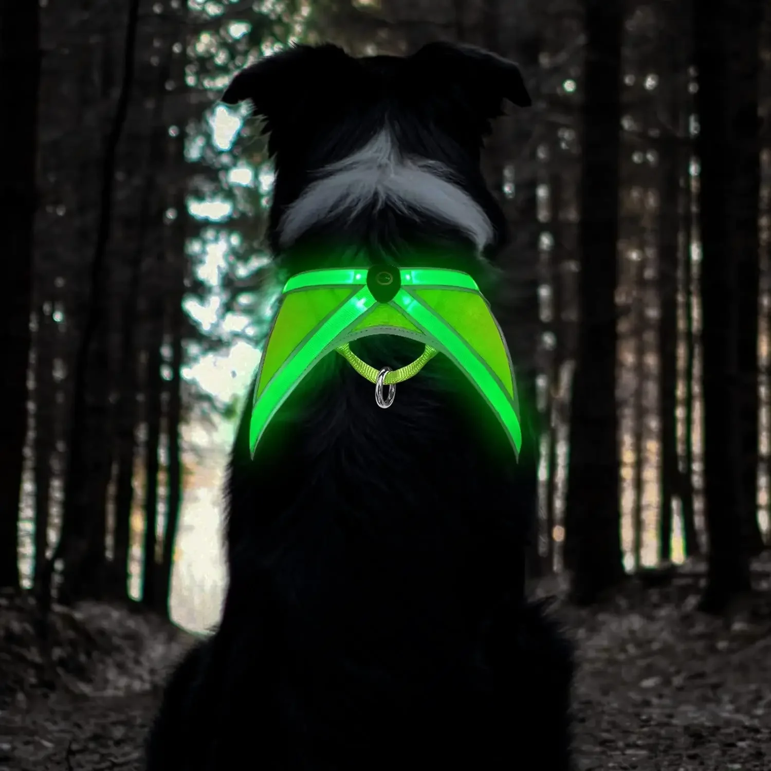 Light Up Dog Harness High Visibility Led Dog Harness for Night Walking USB Rechargeable Dog Harness for Small Medium Large Dogs
Light Up Dog Harness High Visibility Led Dog Harness for Night Walking USB Rechargeable Dog Harness for Small Medium Large Dogs