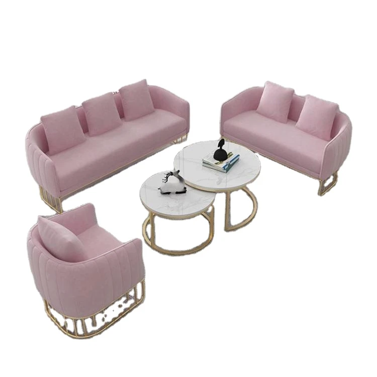 Nordic Style Simple Modern Small Family Clothing Store Sofa Light Luxury Metal Sofa Coffee Table Combination Leisure Sofa Chair
Nordic Style Simple Modern Small Family Clothing Store Sofa Light Luxury Metal Sofa Coffee Table Combination Leisure Sofa Chair