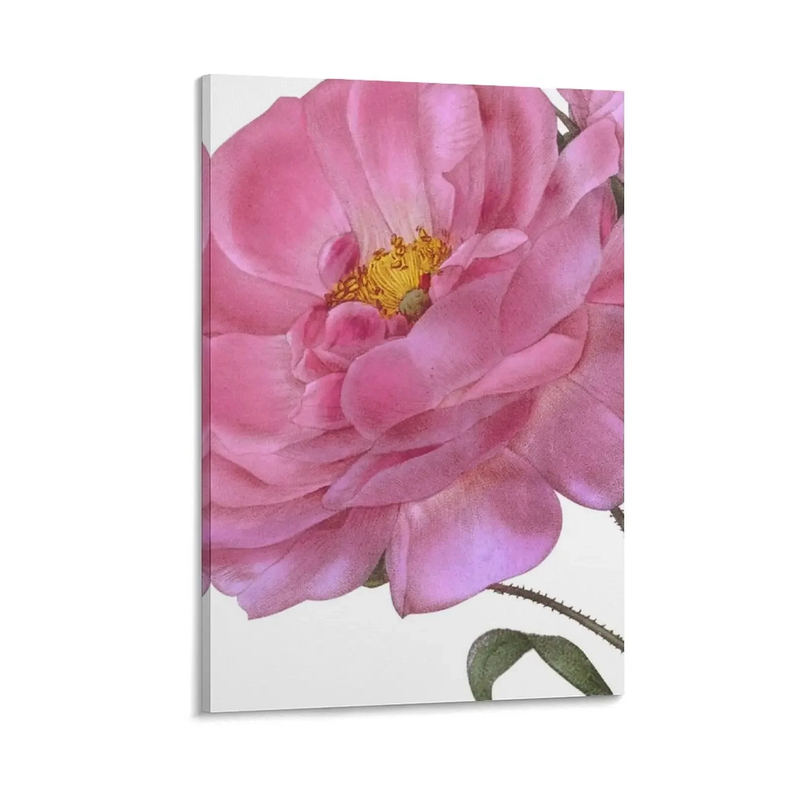 Rose Canvas Painting home and decoration Decorative prints wall painting living room decoration
Rose Canvas Painting home and decoration Decorative prints wall painting living room decoration