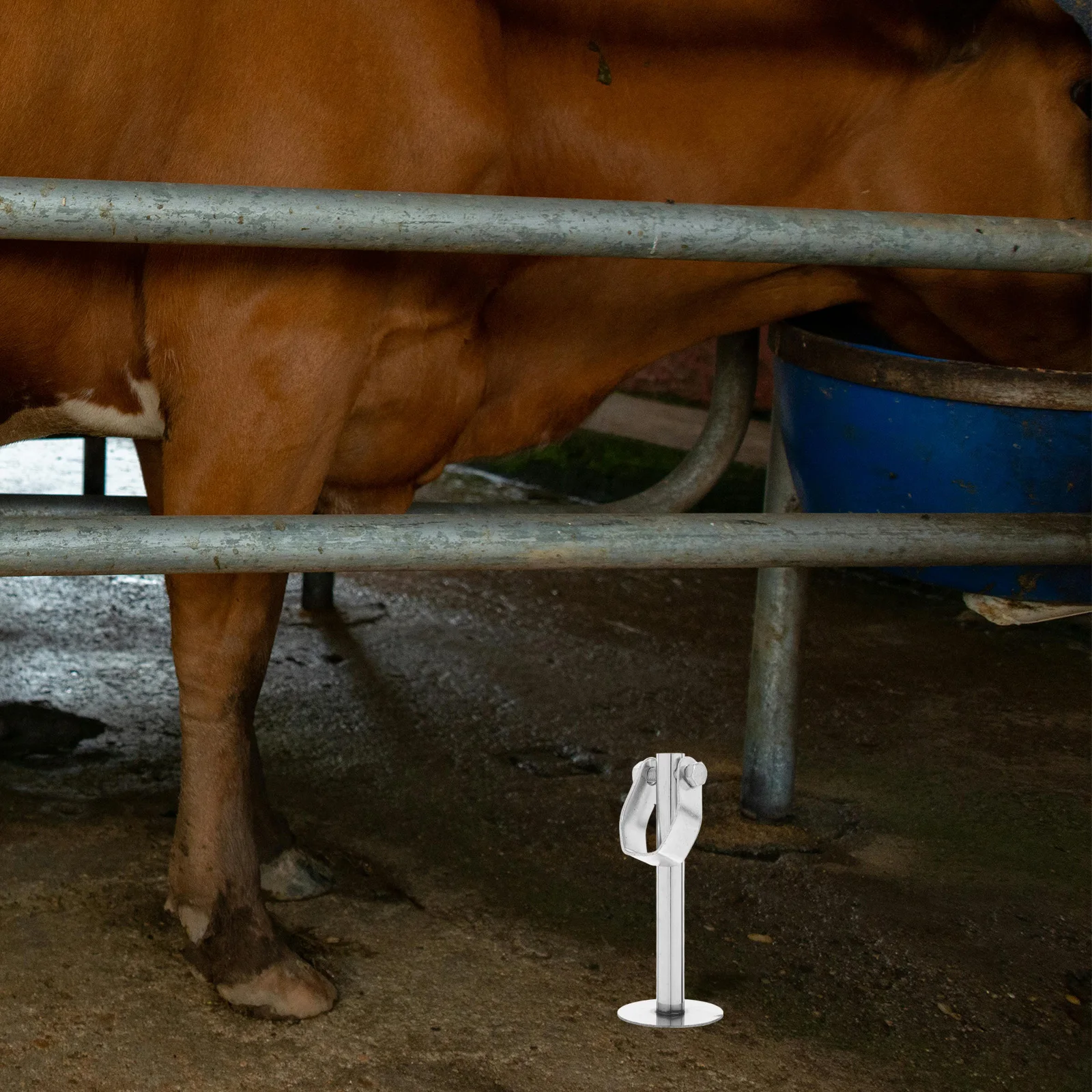 1PCS Cattle Sheep Salt Brick Box Holder Stainless Steel Feeding Rack for Cow Horse Deer Salt Block Licking Bracket Farm Supplies
1PCS Cattle Sheep Salt Brick Box Holder Stainless Steel Feeding Rack for Cow Horse Deer Salt Block Licking Bracket Farm Supplies