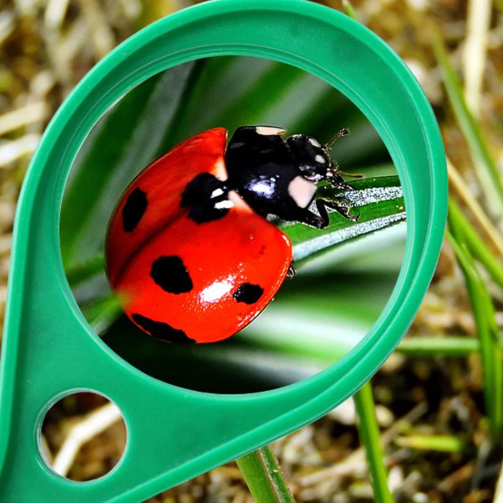 3Pcs Portable Handheld Magnifiers for Kids Lightweight Comfortable Handle Design Insect Plant Study Reading Magnifiers
3Pcs Portable Handheld Magnifiers for Kids Lightweight Comfortable Handle Design Insect Plant Study Reading Magnifiers