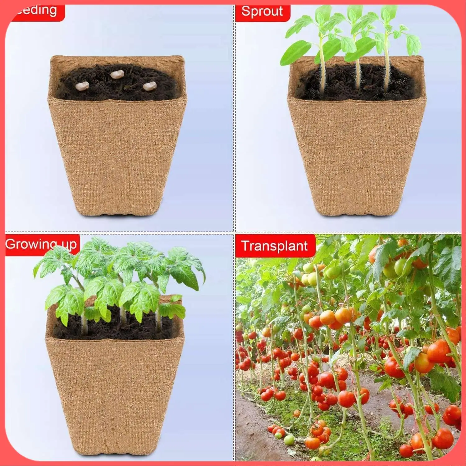 AA89-10 упаковок, стартовый лоток для семян, наборы 100-леточных торфных горшков, биоразлагаемые компостируемые горшки для посадки с 10 этикетками для растений
AA89-10 упаковок, стартовый лоток для семян, наборы 100-леточных торфных горшков, биоразлагаемые компостируемые горшки для посадки с 10 этикетками для растений