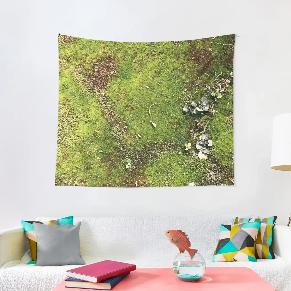 World of Moss Tapestry Home Decorating Room Decoration Korean Style Room Aesthetic House Decor Tapestry
World of Moss Tapestry Home Decorating Room Decoration Korean Style Room Aesthetic House Decor Tapestry