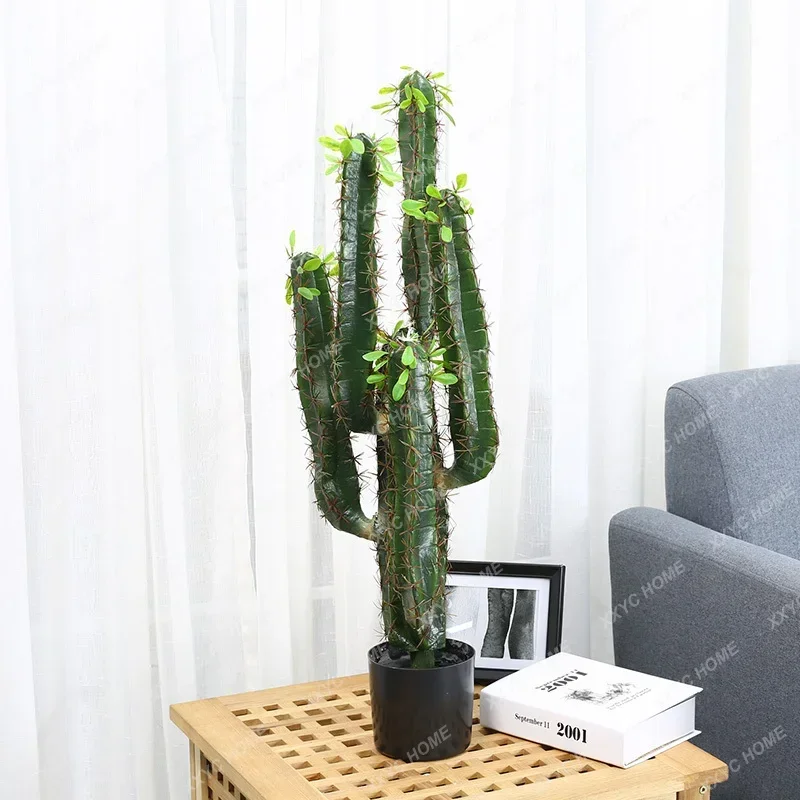 Fake Succulent Potted Desert Green Plant Cactus Window Shopping Mall Store Plant Ornaments Simulation
Fake Succulent Potted Desert Green Plant Cactus Window Shopping Mall Store Plant Ornaments Simulation