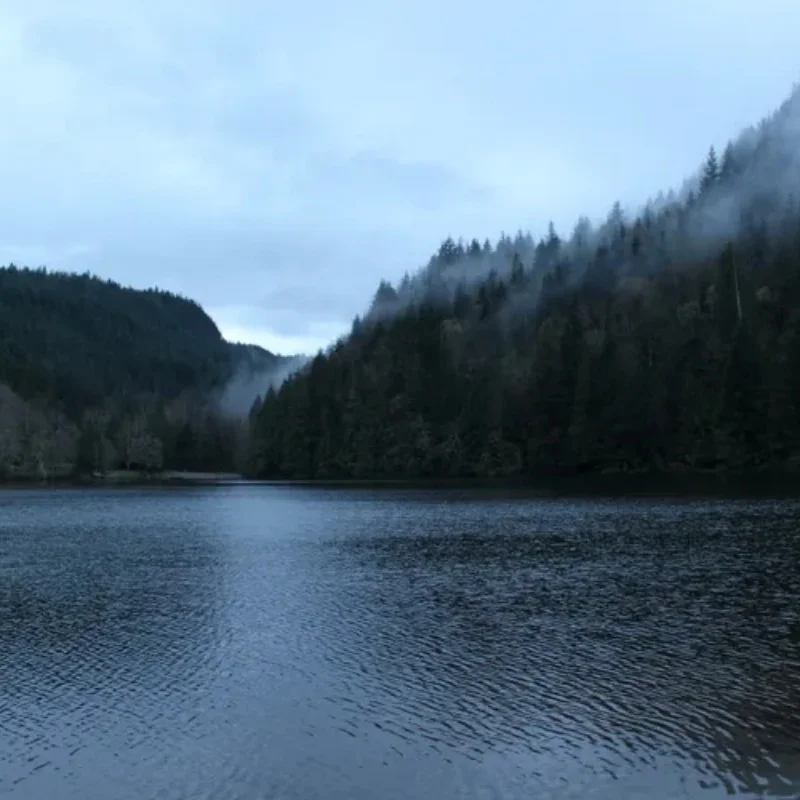 iFlight BOB57 O4 Frame Kit - 6mm Arm 280mm Wheelbase 5/7-inch for Cinematic Freestyle FPV RC Accessory
iFlight BOB57 O4 Frame Kit - 6mm Arm 280mm Wheelbase 5/7-inch for Cinematic Freestyle FPV RC Accessory