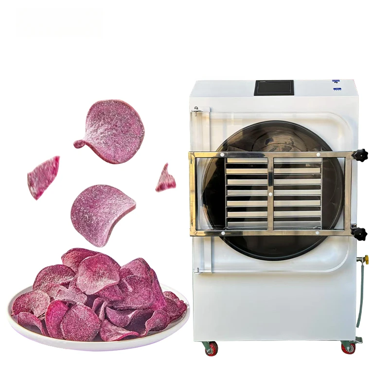 2- 55KG 60KG 14 Trays Big Capacity Dryer Experience Large-batch Freeze Drying Fruit Freeze Dryer
2- 55KG 60KG 14 Trays Big Capacity Dryer Experience Large-batch Freeze Drying Fruit Freeze Dryer
