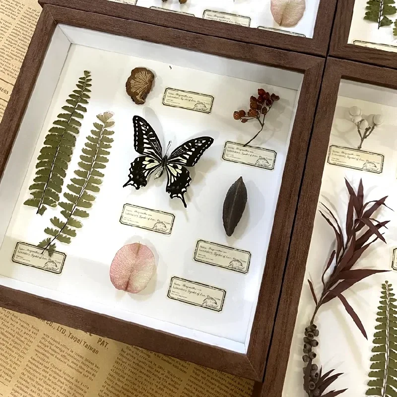 2087 Butterfly Specimen Dried Flowers Insect Decoration Painting Decorative Picture Frame Creative Holiday Birthday Gift
2087 Butterfly Specimen Dried Flowers Insect Decoration Painting Decorative Picture Frame Creative Holiday Birthday Gift