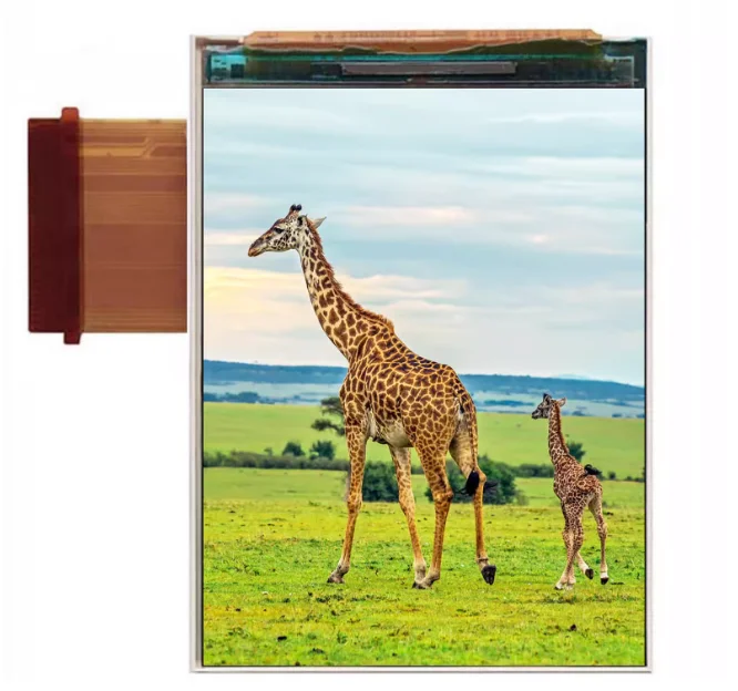 AMS250RS01 AMOLED LCD screen 240x320, perfect replacement for 2.4-inch C0240QGLA-T
AMS250RS01 AMOLED LCD screen 240x320, perfect replacement for 2.4-inch C0240QGLA-T