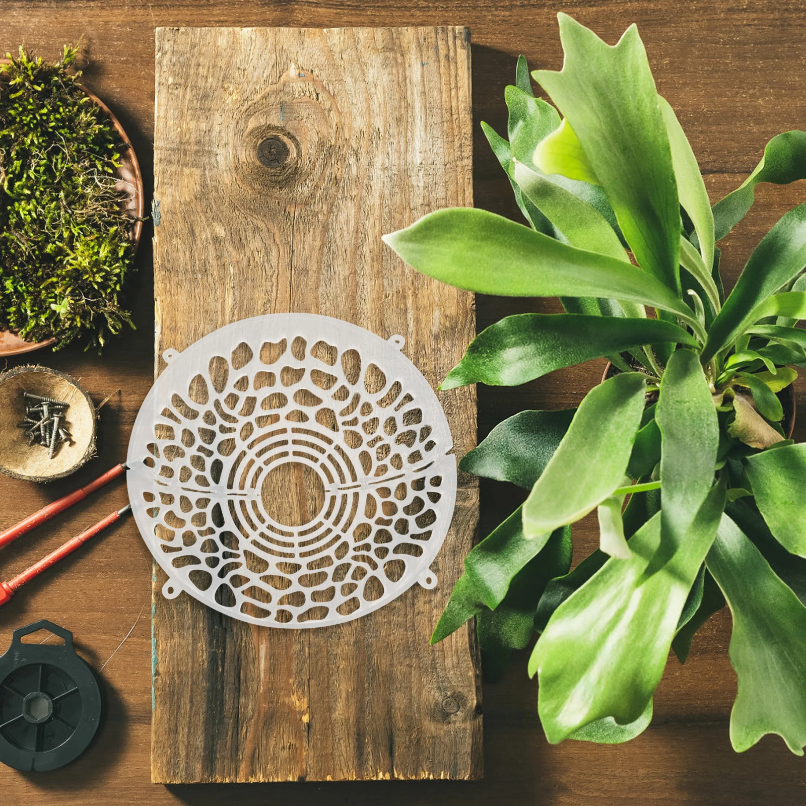 Staghorn Phalaenopsis Plant Suspension Ball Transparent Floral Soil Hole Cover Breathable Soil Protector Cap Water Plants Cover 
Staghorn Phalaenopsis Plant Suspension Ball Transparent Floral Soil Hole Cover Breathable Soil Protector Cap Water Plants Cover