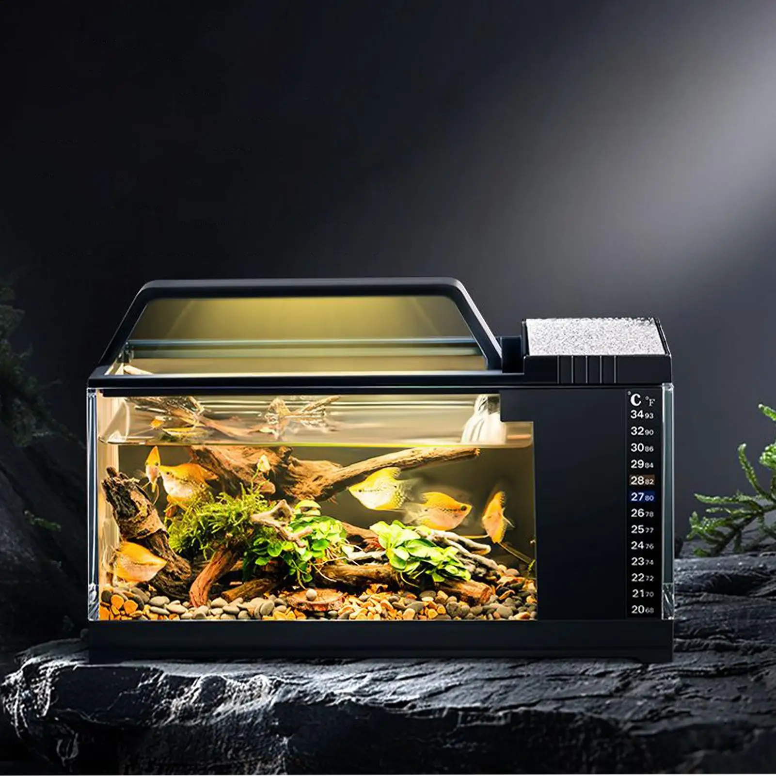 Landscape Fish Tank Landscaping Durable Small Fish Tank Desktop Aquarium For Home Desktop Living Room Office Decor
Landscape Fish Tank Landscaping Durable Small Fish Tank Desktop Aquarium For Home Desktop Living Room Office Decor