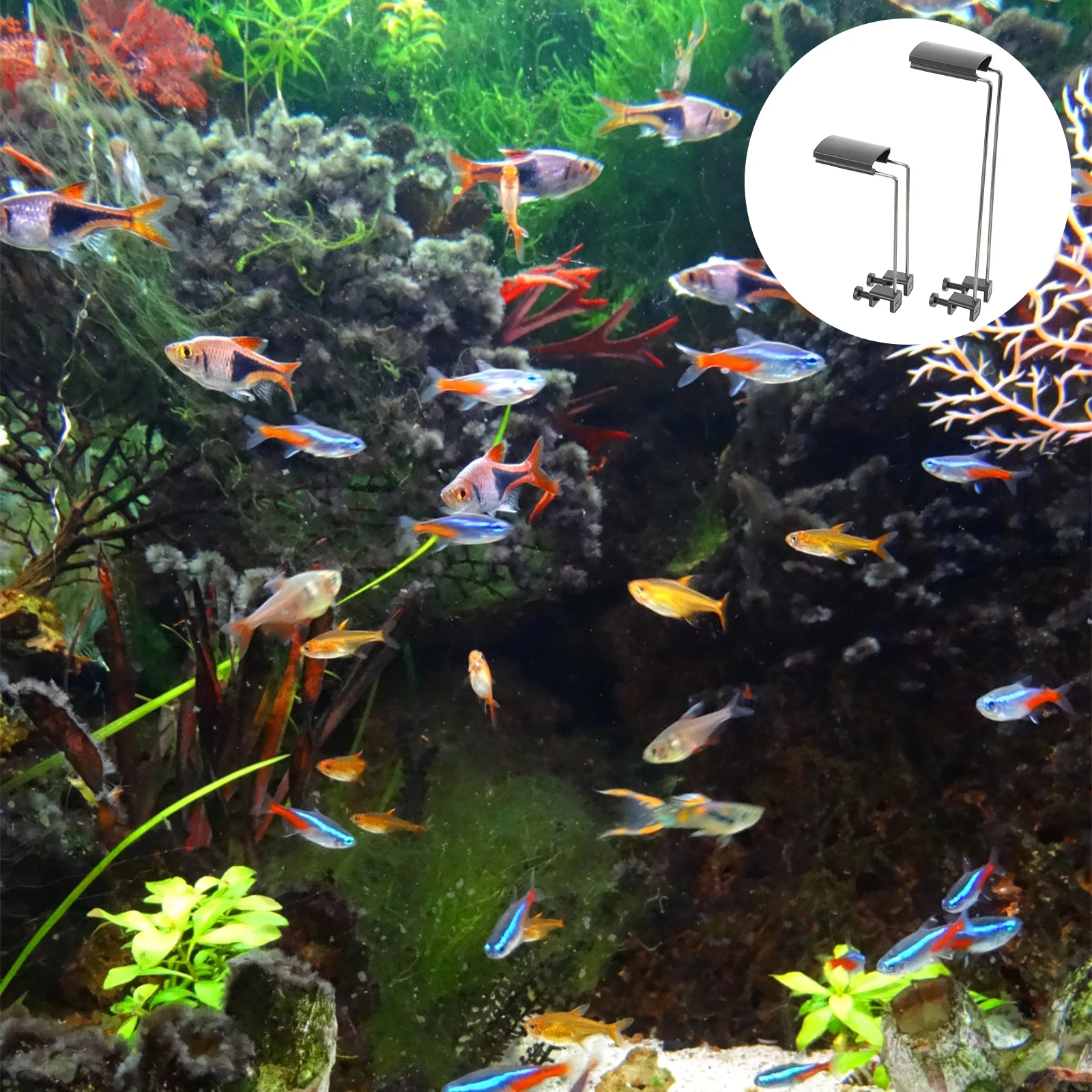 2Pcs Aquarium Light Bracket Adjustable Height Stable Lamp Rack for Fish Tank Easy Installation Accessory
2Pcs Aquarium Light Bracket Adjustable Height Stable Lamp Rack for Fish Tank Easy Installation Accessory