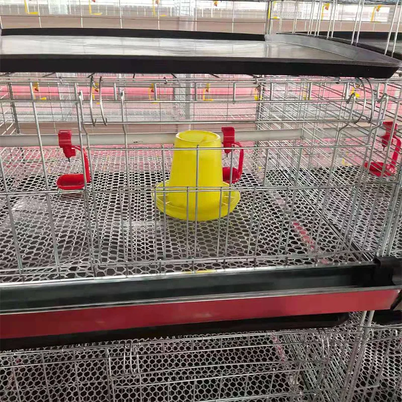 Breeding cage raising duck and goose cage breeding three-dimensional breeding farm
Breeding cage raising duck and goose cage breeding three-dimensional breeding farm