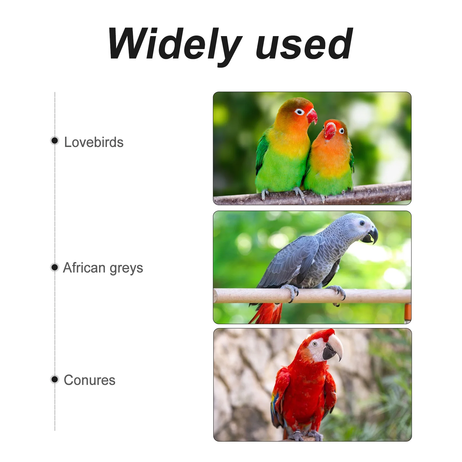 Bird Flight Suit Parrot Hoodie Comfortable Cloth Parakeet Cockatiel Macaw Winter Spring Autumn Wear Bird Flight Suit
Bird Flight Suit Parrot Hoodie Comfortable Cloth Parakeet Cockatiel Macaw Winter Spring Autumn Wear Bird Flight Suit