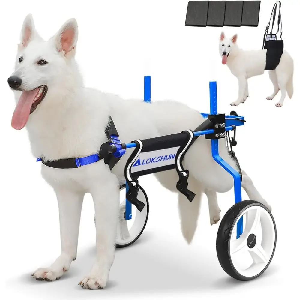 Коляска для собак с большими задними колесами, усиленная, регулируемая, для собак с ограниченными возможностями на задних лапах, цельнометаллическая, 77 фунтов
Коляска для собак с большими задними колесами, усиленная, регулируемая, для собак с ограниченными возможностями на задних лапах, цельнометаллическая, 77 фунтов