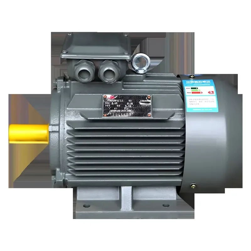 YE3 6 Pole 112M 1000rpm Ac Motor 380 v 2,2 Kw 945 R/ min 2 kw Electric Motor 3hp
YE3 6 Pole 112M 1000rpm Ac Motor 380 v 2,2 Kw 945 R/ min 2 kw Electric Motor 3hp