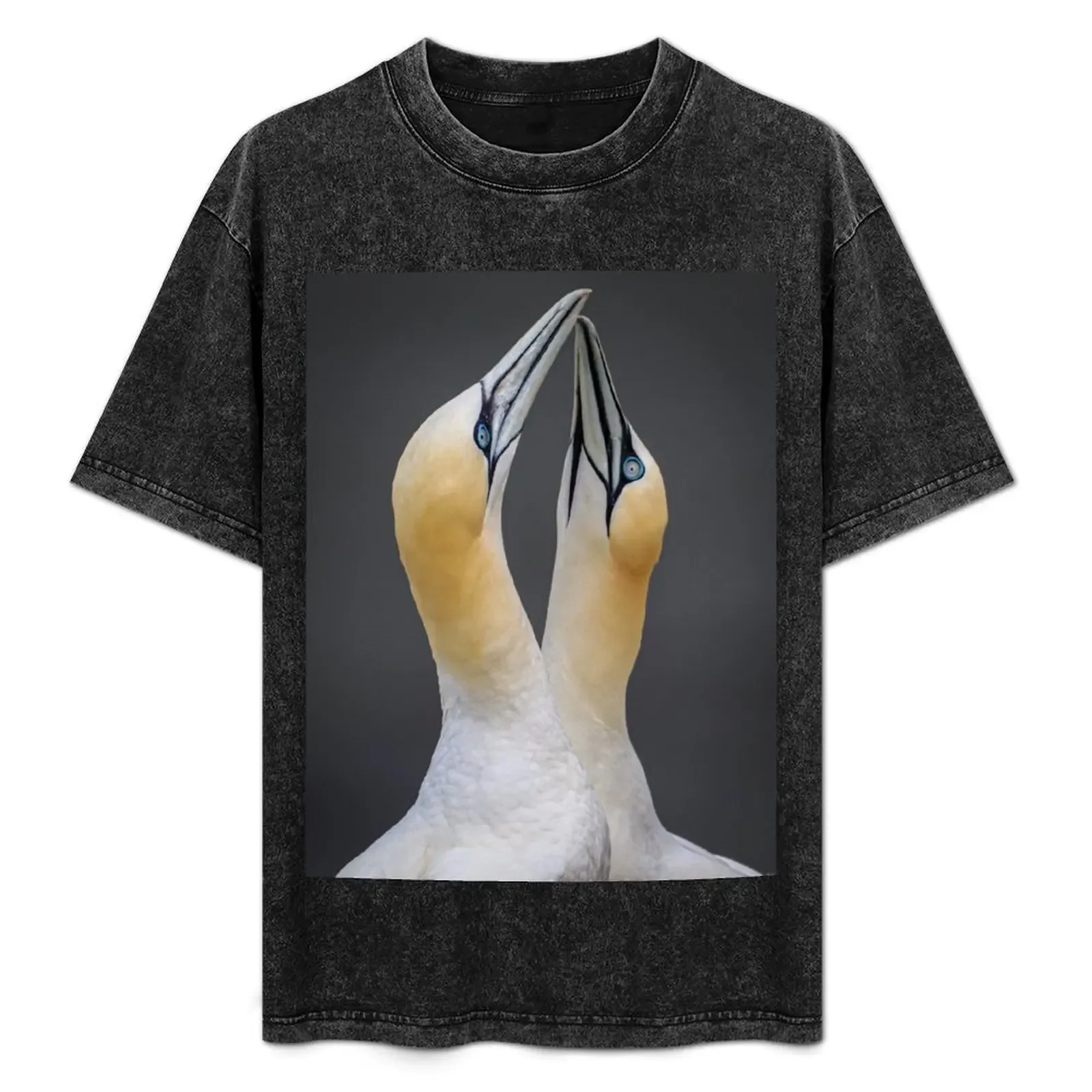 Gannets in Love T-Shirt Trendy Pattern T-Shirt for Men
Gannets in Love T-Shirt Trendy Pattern T-Shirt for Men