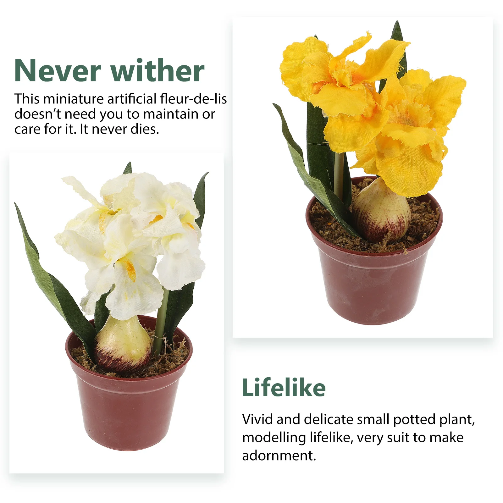 2Pcs Artificial Simulation Bonsai Plant Lightweight for Home Office Study Desk Decor Faux Bonsai Plant Fake Potted 
2Pcs Artificial Simulation Bonsai Plant Lightweight for Home Office Study Desk Decor Faux Bonsai Plant Fake Potted