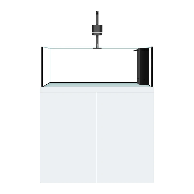 New stream tank native wild mining three lakes cichlid fish tank living room ultra white bottom filter aquarium
New stream tank native wild mining three lakes cichlid fish tank living room ultra white bottom filter aquarium