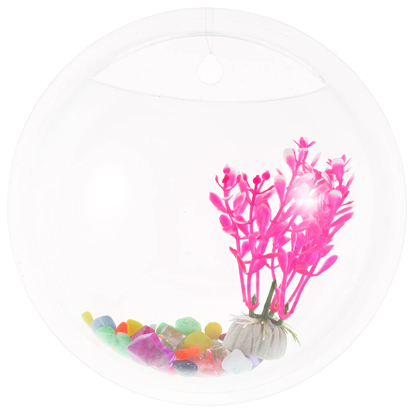 Wall Mounted Fish Tank Clear Acrylic Aquarium Home Decor Space Saving Pet Supplies Plant Vase Transparent Design
Wall Mounted Fish Tank Clear Acrylic Aquarium Home Decor Space Saving Pet Supplies Plant Vase Transparent Design