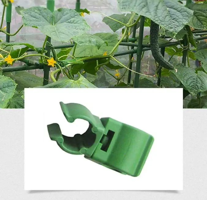 20Pcs Plant Trellis Connector Clip, Adjustable Green Climbing Rattan Stent Accessories
20Pcs Plant Trellis Connector Clip, Adjustable Green Climbing Rattan Stent Accessories