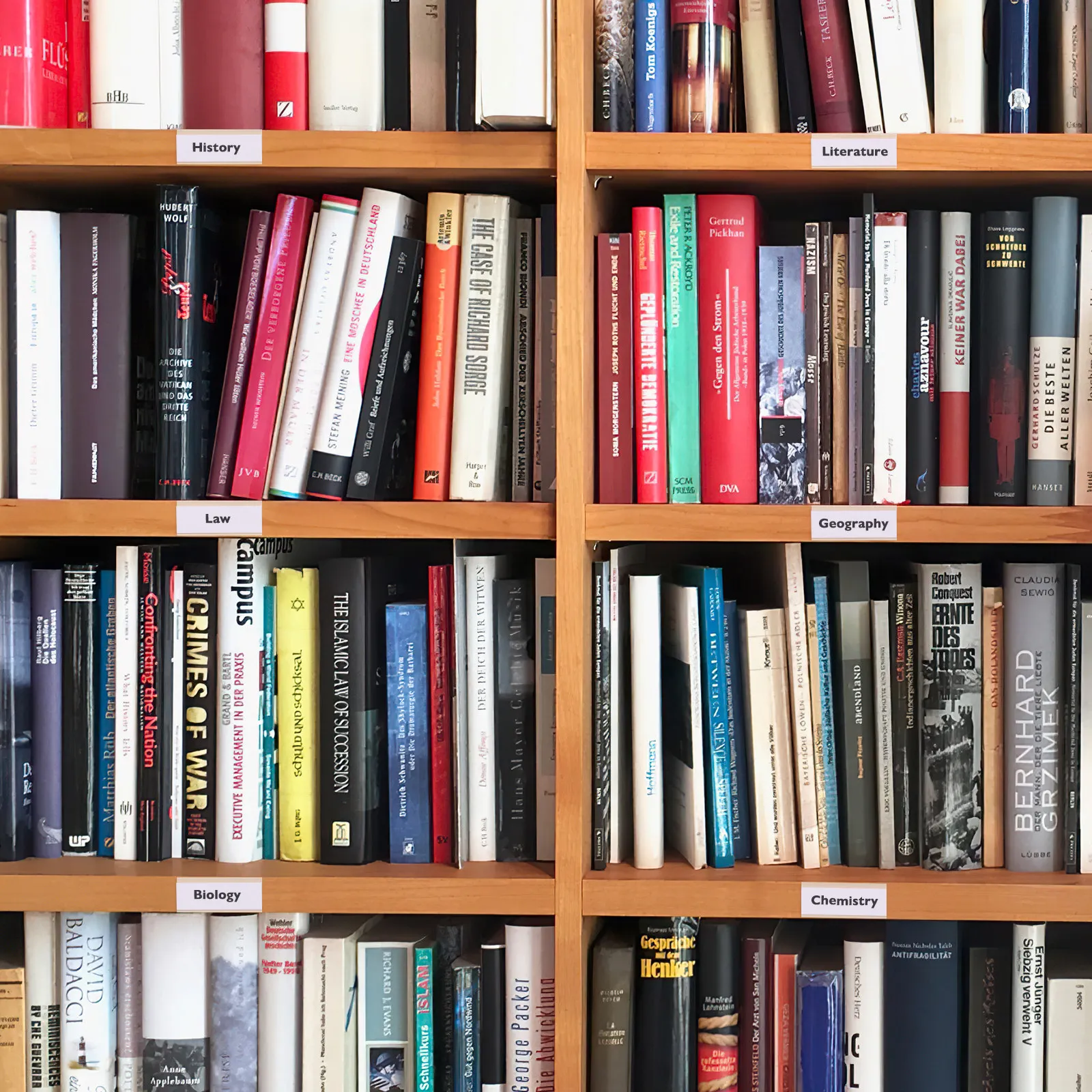 50 шт. прозрачных держателей ценников из ПВХ для розничной торговли, супермаркетов, для демонстрации цен на товары
50 шт. прозрачных держателей ценников из ПВХ для розничной торговли, супермаркетов, для демонстрации цен на товары