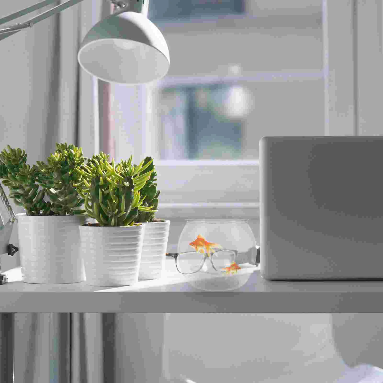 Small Transparent Fish Tank Bowl Plastic Bowls for Centerpieces Decor Pp The Pet Betta Office
Small Transparent Fish Tank Bowl Plastic Bowls for Centerpieces Decor Pp The Pet Betta Office