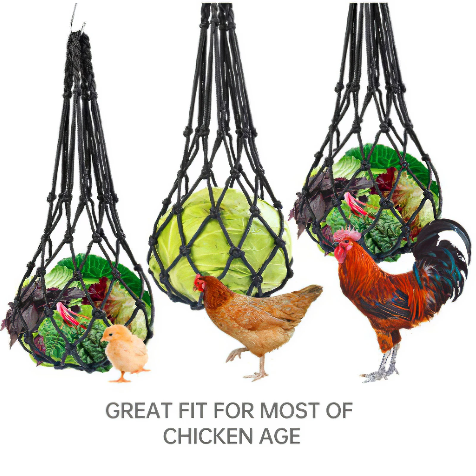 Vegetable Feeding Mesh High-Load Bearing Chicken Fruit Feeder Polyester Feeder Net Vegetable String Bag Fruit Holder with Hook
Vegetable Feeding Mesh High-Load Bearing Chicken Fruit Feeder Polyester Feeder Net Vegetable String Bag Fruit Holder with Hook