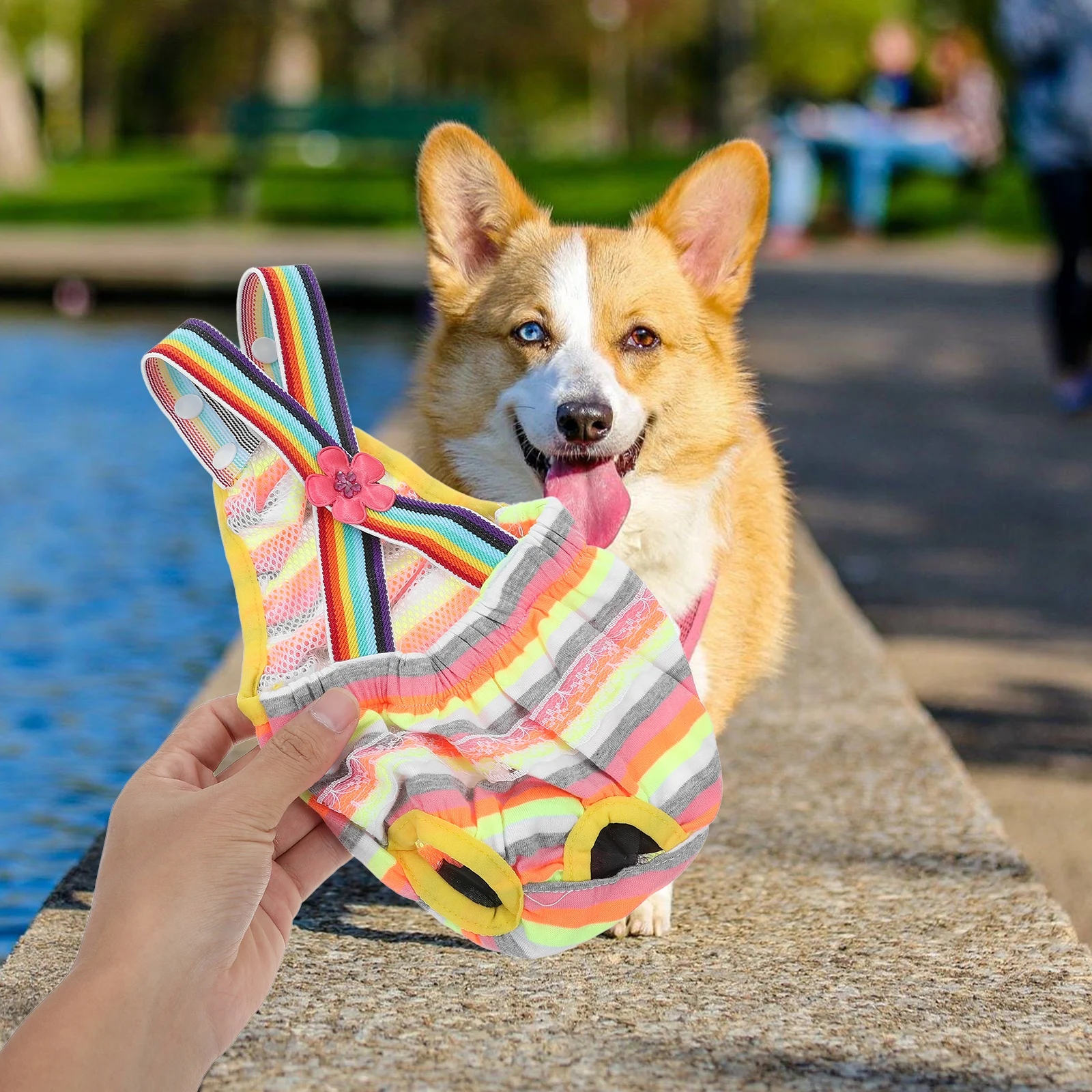 Pet Physiological Pants Hygiene Female Dog Lattice Trousers Puppy Diapers Washable Care Products
Pet Physiological Pants Hygiene Female Dog Lattice Trousers Puppy Diapers Washable Care Products