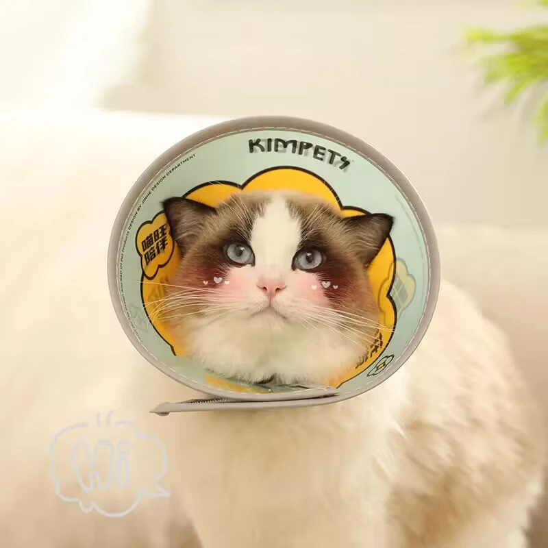 Защитный чехол для домашних животных Elizabeth Circle, красивый чехол для кошек и собак, ошейник против царапин и укусов, кольцо на шею
Защитный чехол для домашних животных Elizabeth Circle, красивый чехол для кошек и собак, ошейник против царапин и укусов, кольцо на шею