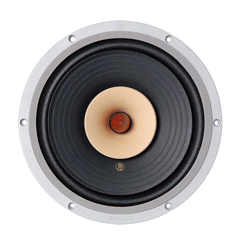 LII AUDIO HIFI FAST-10 Full Frequency Speaker 10 Inch 8ohm/40-60W Unit / 1PCS
LII AUDIO HIFI FAST-10 Full Frequency Speaker 10 Inch 8ohm/40-60W Unit / 1PCS