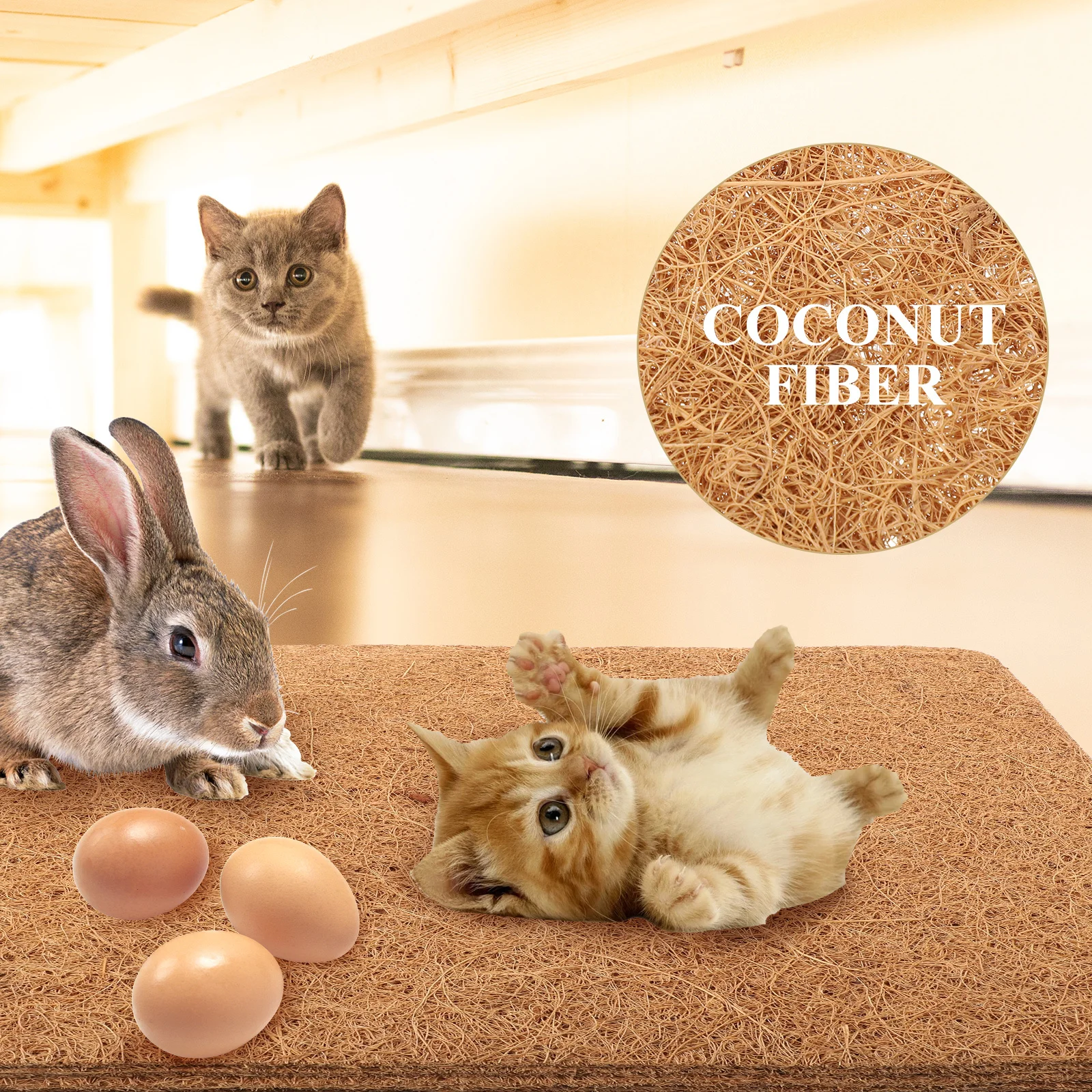 6Pcs Natural Fiber Pet Chicken Pads Reptile Mat Multiuse Breeding Egg Pads Comfortable Breathable Reptile Mat Pet Supplies
6Pcs Natural Fiber Pet Chicken Pads Reptile Mat Multiuse Breeding Egg Pads Comfortable Breathable Reptile Mat Pet Supplies