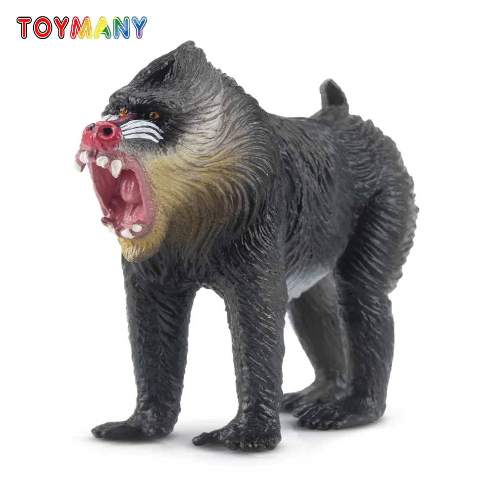 Toymany Simulation Mandrill Primate Animal Model Toy Mini Figures Dolls Action Figurines Toys Children Gift Cake Decoration
Toymany Simulation Mandrill Primate Animal Model Toy Mini Figures Dolls Action Figurines Toys Children Gift Cake Decoration