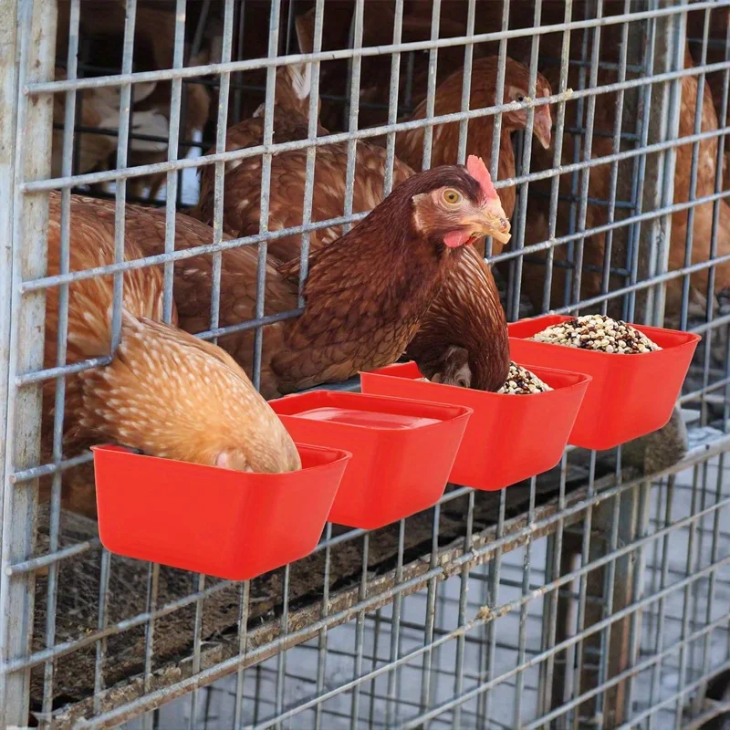 10 cage cup chicken feeding cups, hanging feeding water bowls, suitable for pet parrots, chickens, sheep, hamsters, rabbits
10 cage cup chicken feeding cups, hanging feeding water bowls, suitable for pet parrots, chickens, sheep, hamsters, rabbits