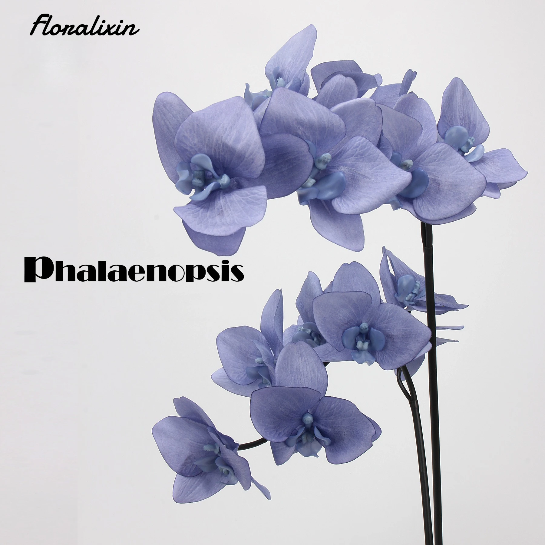 7 Heads Moisturizing Artificial Phalaenopsis for Home Hotel Valentine Wedding Decor Ins Floral Wall Display Photography Props
7 Heads Moisturizing Artificial Phalaenopsis for Home Hotel Valentine Wedding Decor Ins Floral Wall Display Photography Props