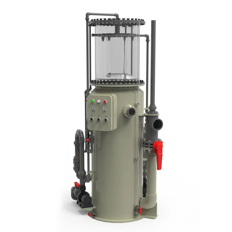 High-Density 15T Recirculating Aquaculture System Equipment For Small Fish Ponds Improves Water Quality
High-Density 15T Recirculating Aquaculture System Equipment For Small Fish Ponds Improves Water Quality
