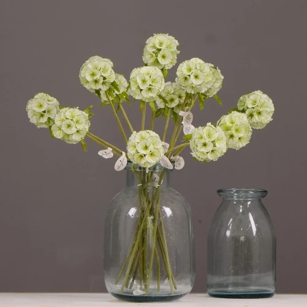 Beautiful Artificial Scabiosa Flower Real Touch Elegant Simulation Pristimera Branch Handmade Fake Flower Home Office Decor
Beautiful Artificial Scabiosa Flower Real Touch Elegant Simulation Pristimera Branch Handmade Fake Flower Home Office Decor