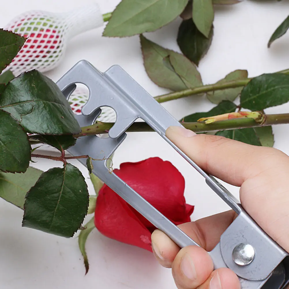 3pcs Rose Thorn Strippers Iron Flower Shop Tools Floral Stem Remover Dethornizer Pliers Pruning Garden Accessories
3pcs Rose Thorn Strippers Iron Flower Shop Tools Floral Stem Remover Dethornizer Pliers Pruning Garden Accessories