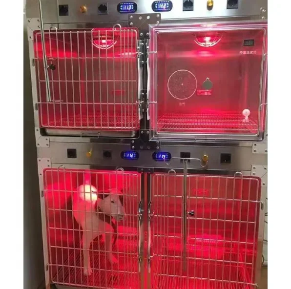 Pujia Veterinary Icu Cage Canil Uai Isolation Oxygen Heated 02 Chamber Infrared Heating Cage Banks For Veterinary Clinics
Pujia Veterinary Icu Cage Canil Uai Isolation Oxygen Heated 02 Chamber Infrared Heating Cage Banks For Veterinary Clinics