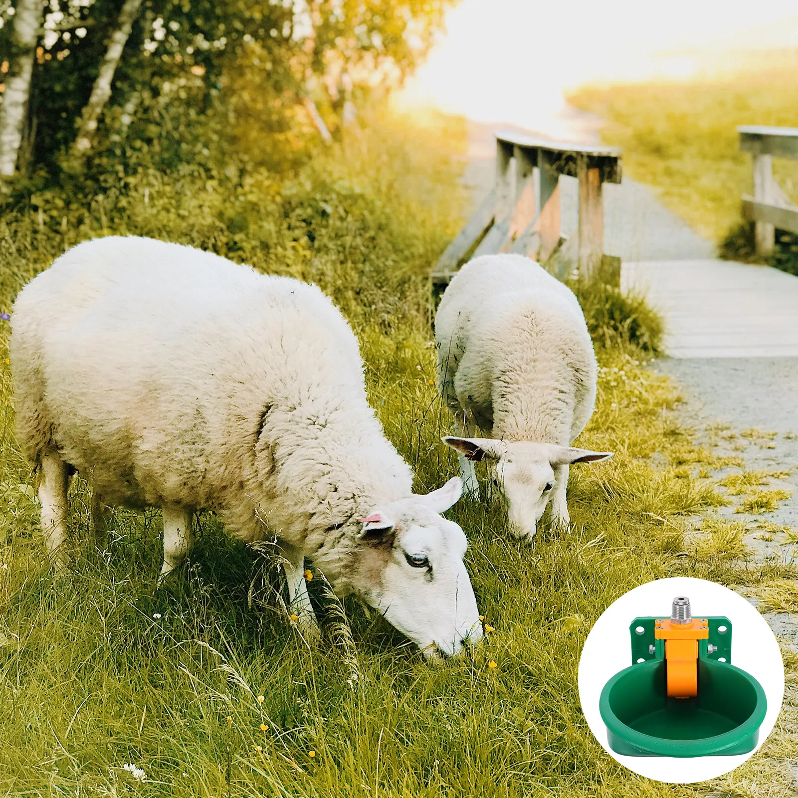 Automatic Water Dispenser for Sheep Large Capacity Automatic Drinking Bowl Spillproof Design Livestock Waterer for Farm Animals
Automatic Water Dispenser for Sheep Large Capacity Automatic Drinking Bowl Spillproof Design Livestock Waterer for Farm Animals