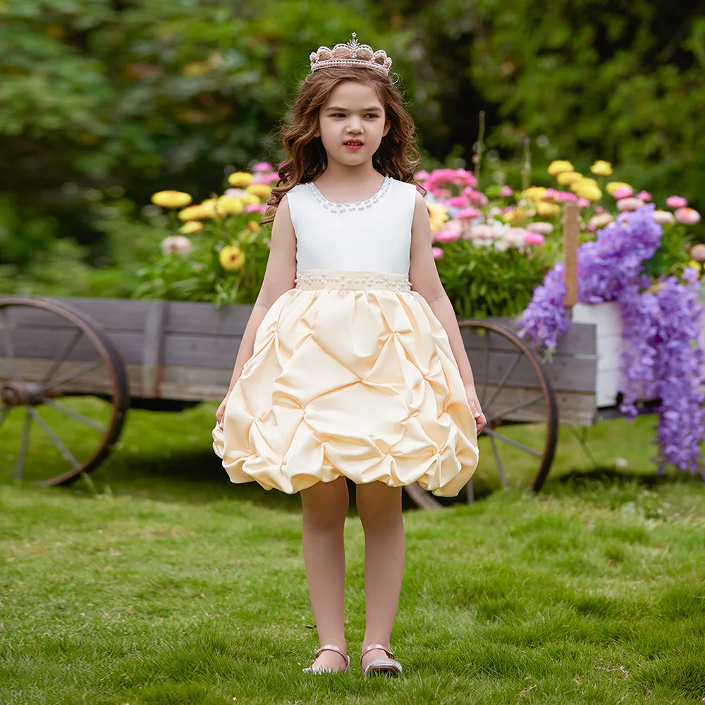 Girls Party Dresses Kids Luxury Puffy Princess Dress Girls Elegant Dress Wedding Formal Dress Ceremony Piano Performance Gown
Girls Party Dresses Kids Luxury Puffy Princess Dress Girls Elegant Dress Wedding Formal Dress Ceremony Piano Performance Gown