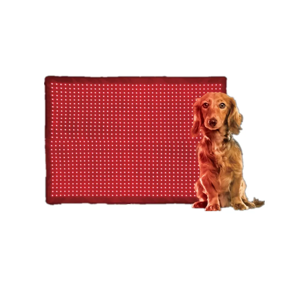 60X60CM Red Light Therapy Blanket for Pets With 5050SMD Combo Chip 660nm 850nm Infrared Light LED Blanket
60X60CM Red Light Therapy Blanket for Pets With 5050SMD Combo Chip 660nm 850nm Infrared Light LED Blanket