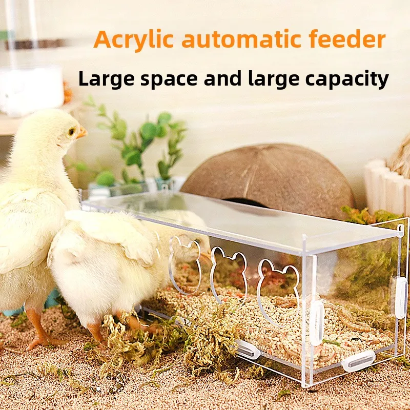 Acrylic Quail Feeder & Waterer Set - Clear Anti-Spill Poultry Feeder for Coturnix/Chicks - Easy-Clean Cage Mount Bird Drinkers
Acrylic Quail Feeder & Waterer Set - Clear Anti-Spill Poultry Feeder for Coturnix/Chicks - Easy-Clean Cage Mount Bird Drinkers