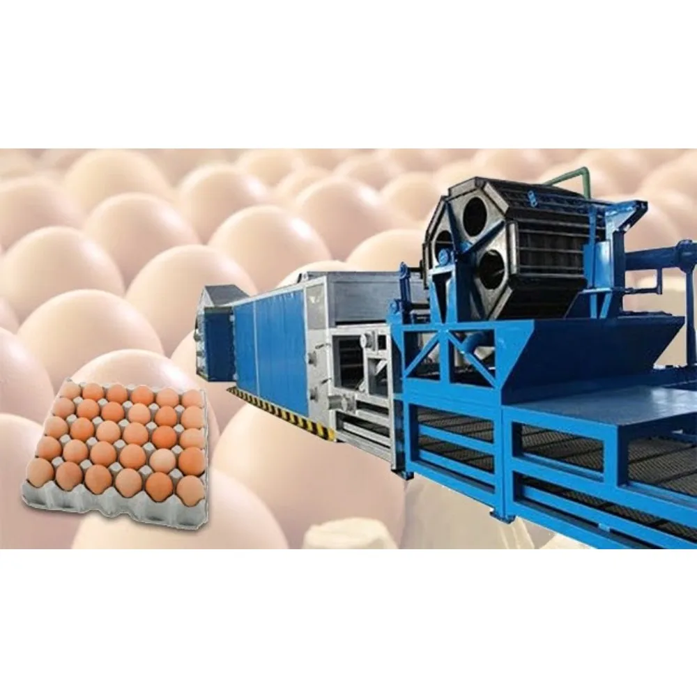 Modern Egg Carton Tray Making Machine Automatic Waste Paper Recycling Pulp Molding Line with Metal Dryer Factory Direct
Modern Egg Carton Tray Making Machine Automatic Waste Paper Recycling Pulp Molding Line with Metal Dryer Factory Direct